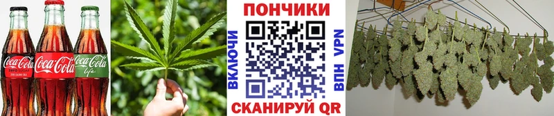 как найти   Новочеркасск  Печенье с ТГК конопля 