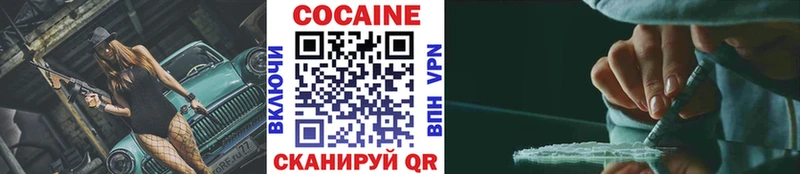 дарнет шоп  гидра ссылки  Cocaine FishScale  Новочеркасск 