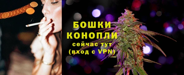 гашик Гусев
