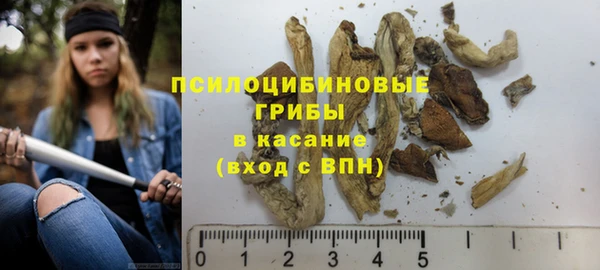 гашик Гусев