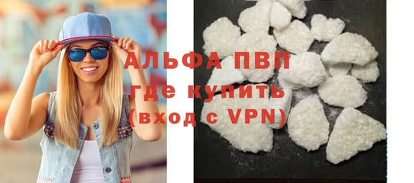 индика Дмитров
