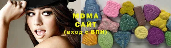 индика Дмитров