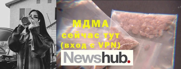 индика Дмитров