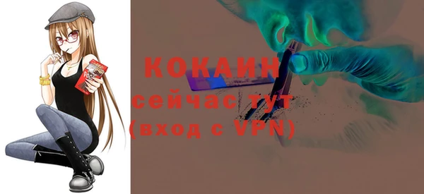 индика Дмитров
