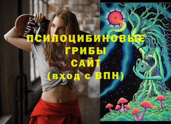 дмт Гусиноозёрск