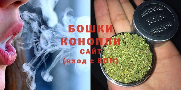 индика Дмитров