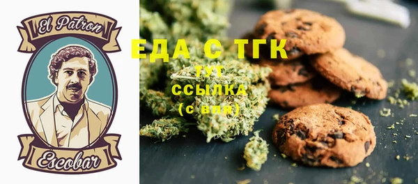 индика Дмитров