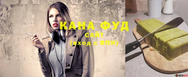индика Дмитров
