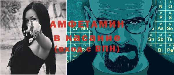 индика Дмитров