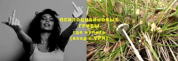 СК Гусь-Хрустальный