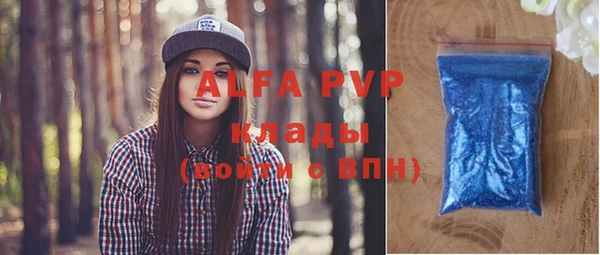индика Дмитров