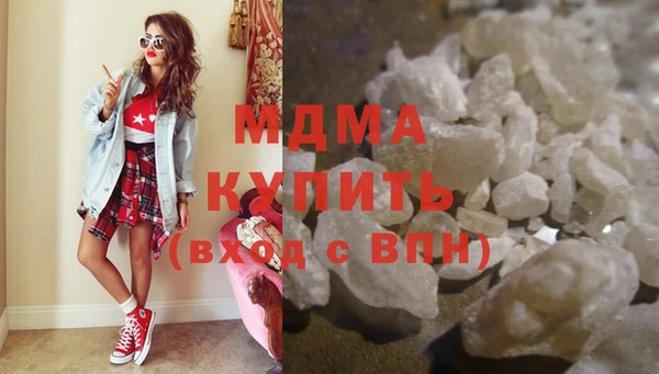 индика Дмитров