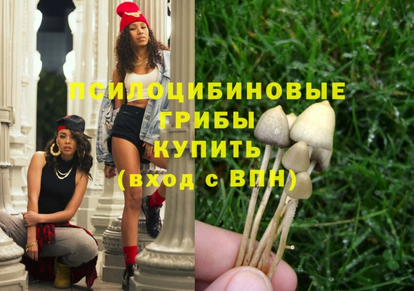 первитин Дмитровск