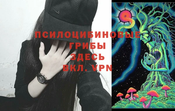 прущие грибы Магас