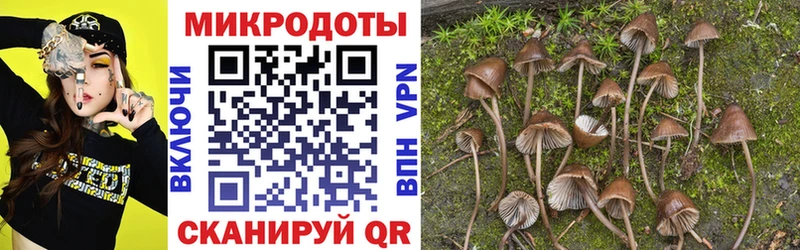 закладки Новочеркасск Галлюциногенные грибы мухоморы